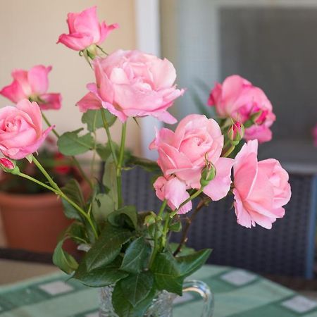 Apartment Timea Dubrovnik Dış mekan fotoğraf